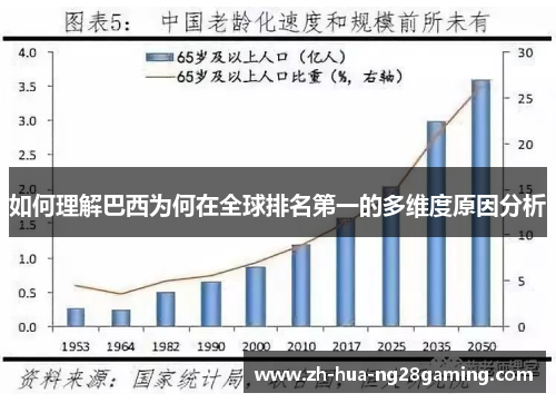 如何理解巴西为何在全球排名第一的多维度原因分析