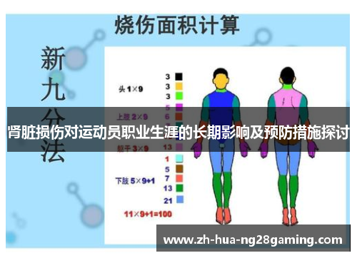 肾脏损伤对运动员职业生涯的长期影响及预防措施探讨 肾脏损伤对运动员职业生涯的长期影响及预防措施探讨