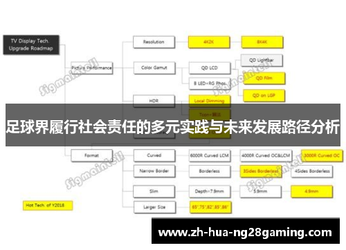 足球界履行社会责任的多元实践与未来发展路径分析 足球界履行社会责任的多元实践与未来发展路径分析