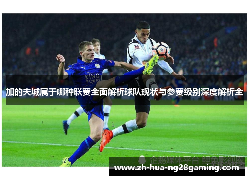 加的夫城属于哪种联赛全面解析球队现状与参赛级别深度解析全