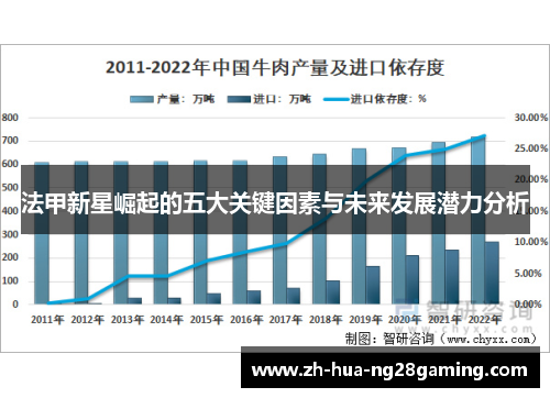 法甲新星崛起的五大关键因素与未来发展潜力分析