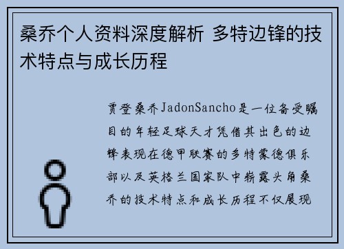 桑乔个人资料深度解析 多特边锋的技术特点与成长历程