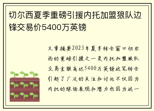 切尔西夏季重磅引援内托加盟狼队边锋交易价5400万英镑