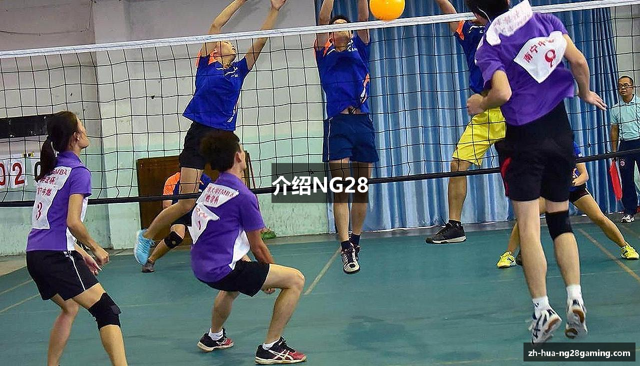 介绍NG28